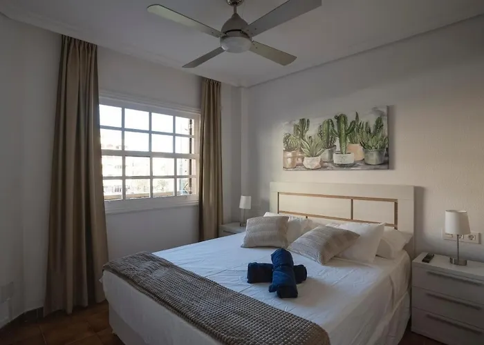 Mahi Vacation In Tenerife Sur